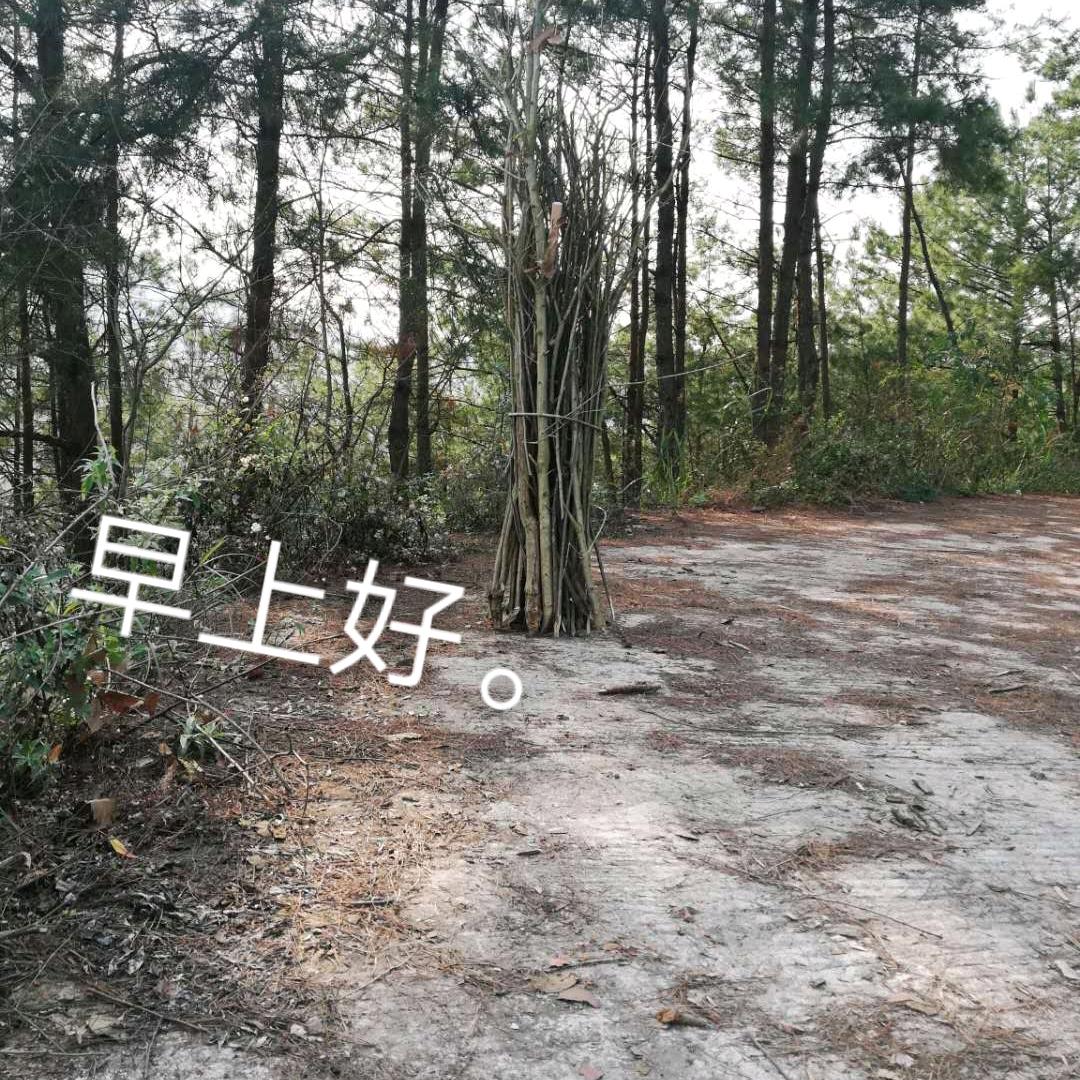未来更好