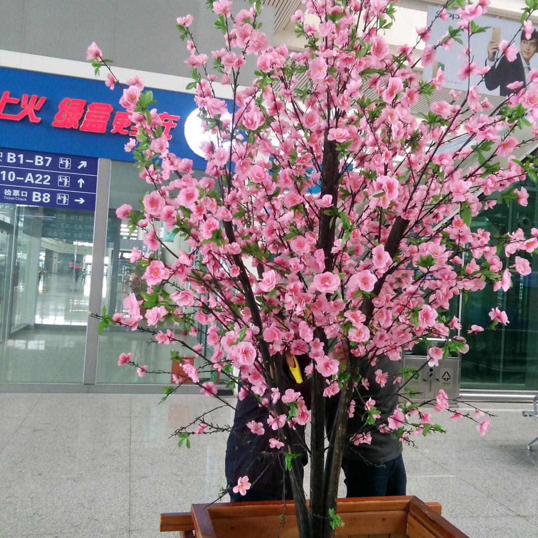 小蔣