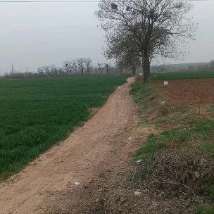 💔ꦿ໊感恩᭄🕊的心᭄ꦿᩚ