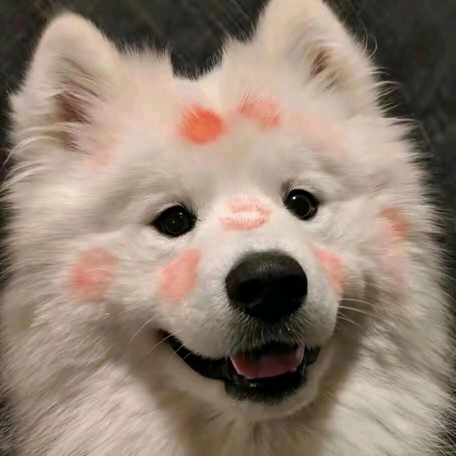以南