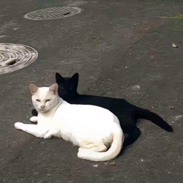 随™性