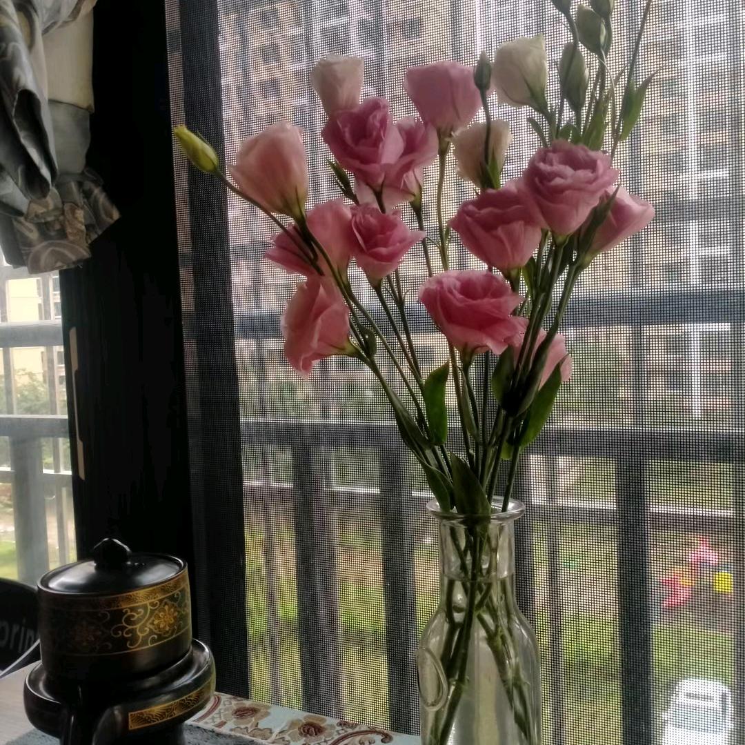 称心如意