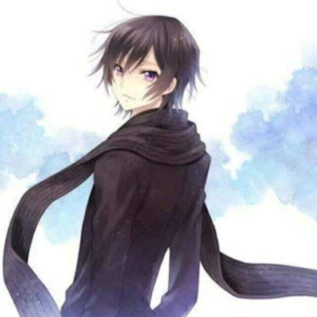鱼Y