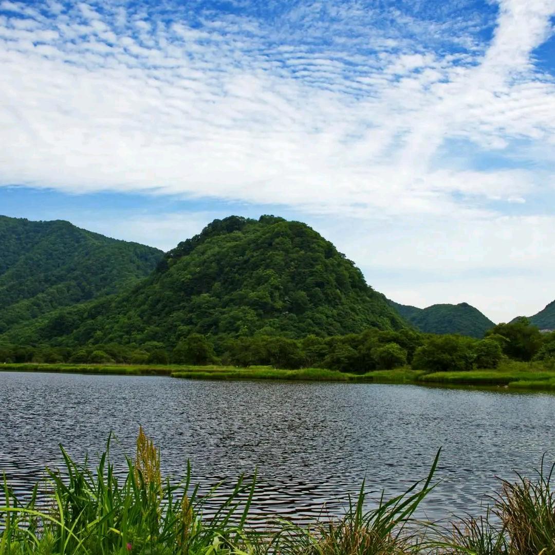 三岁半带上两岁半