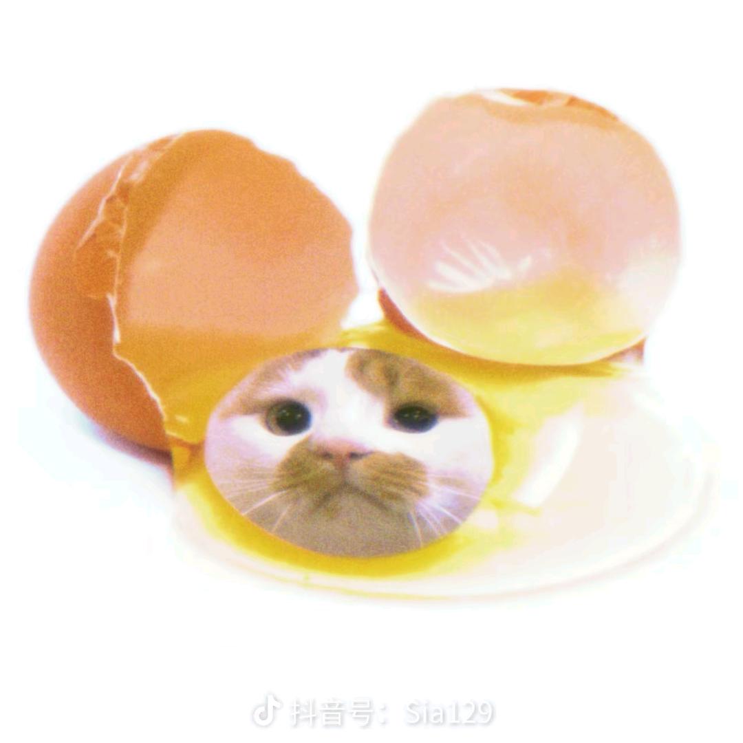 一秒天使星（不签to