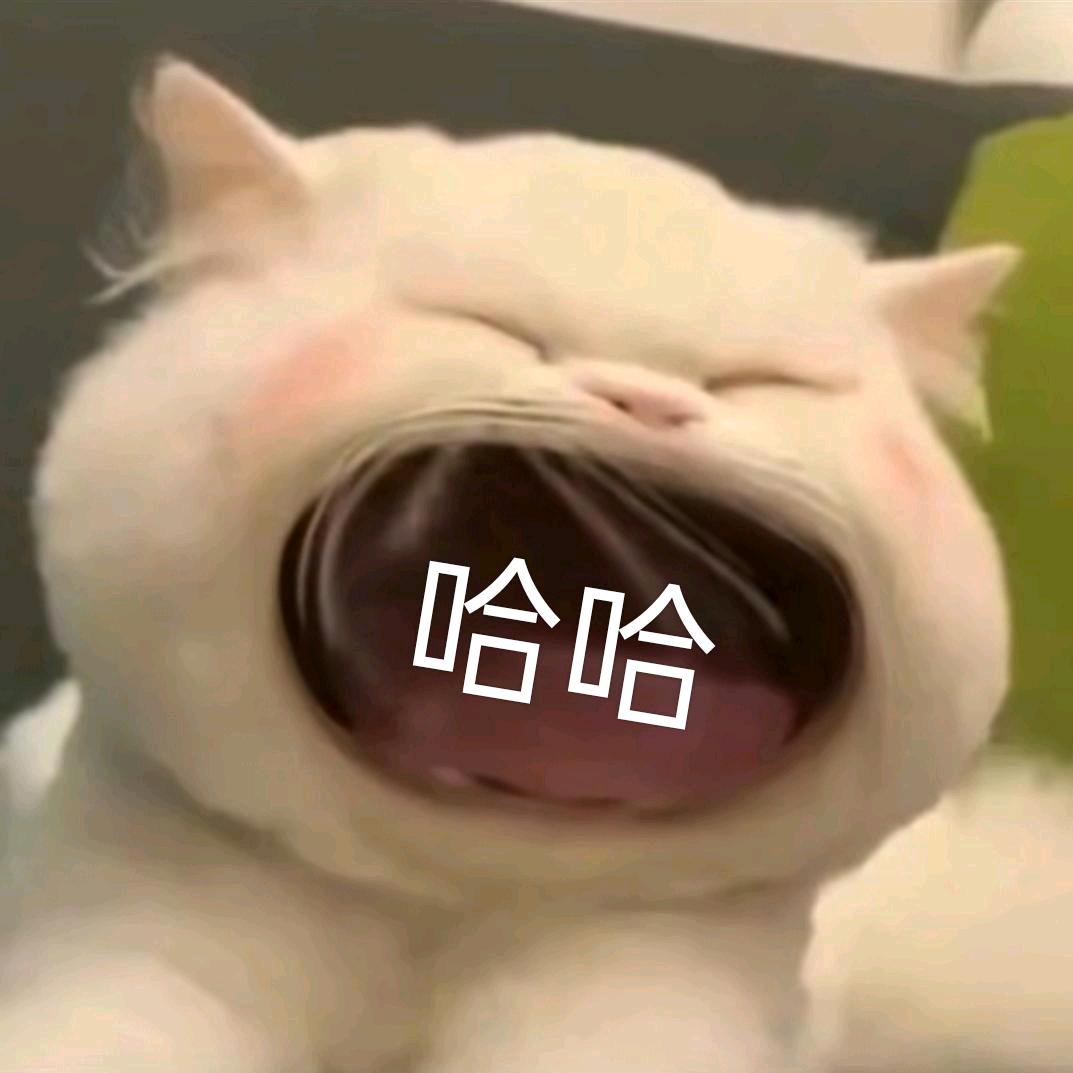 酪少