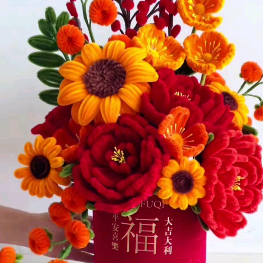 王家二丫头