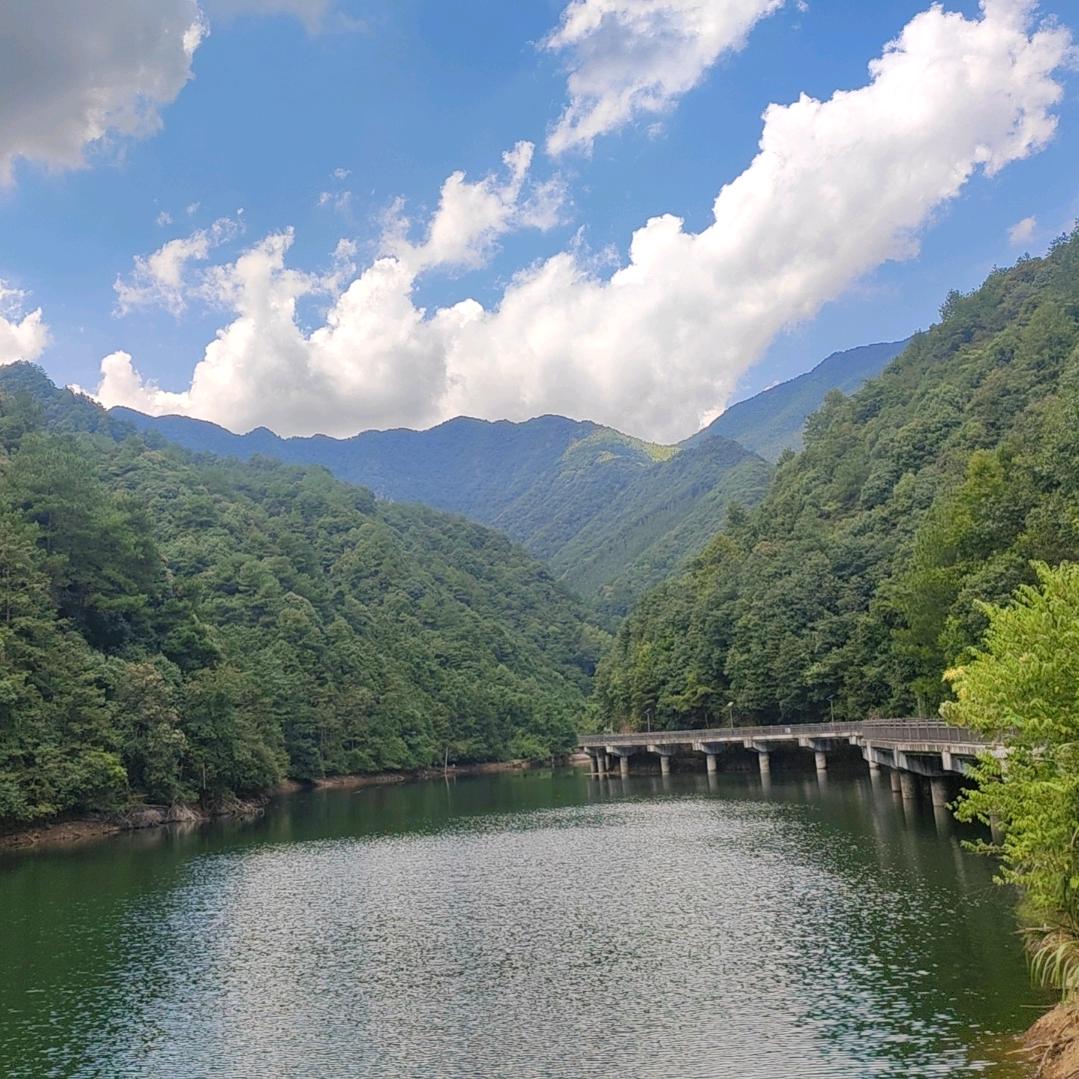 文公商城北站阿杰水产