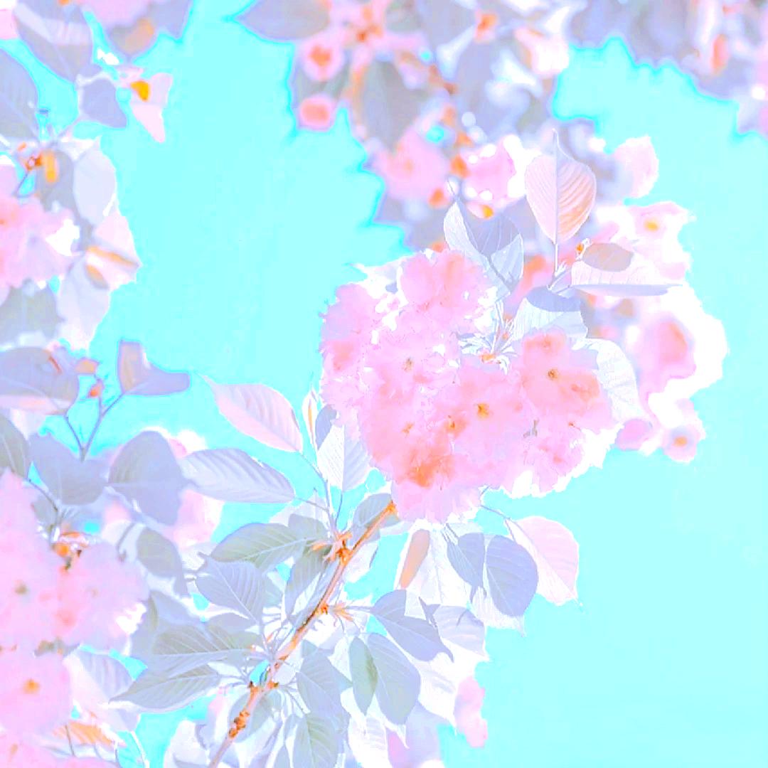芜伶