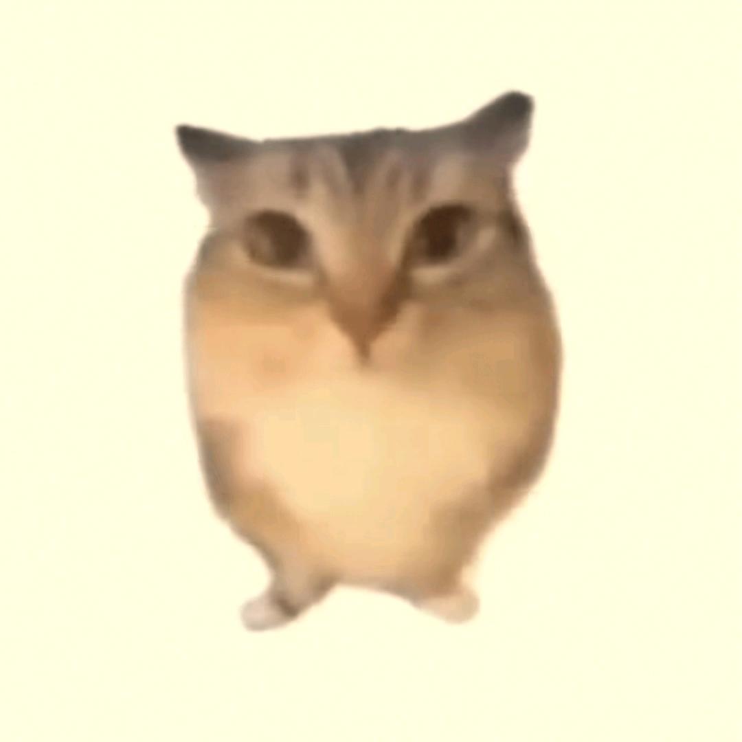 问号