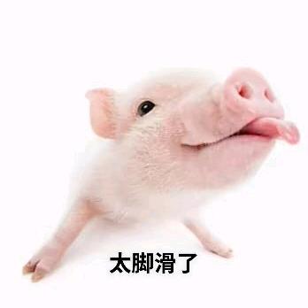 爱吃🐷肉