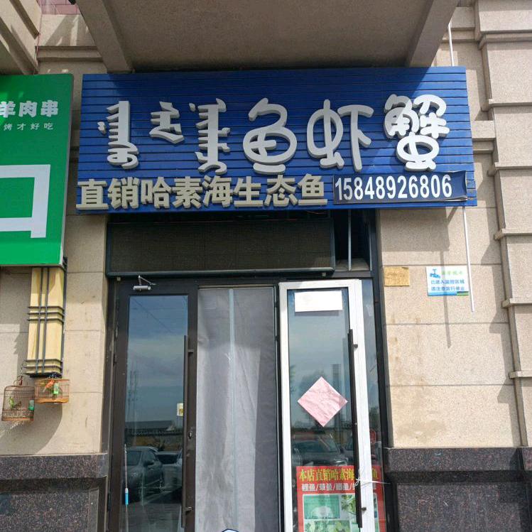 哈素海生态鱼🐟（西万达店）