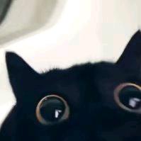 小婷