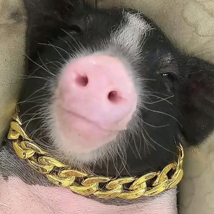 M👿