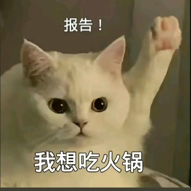 @拧巴的小盆友