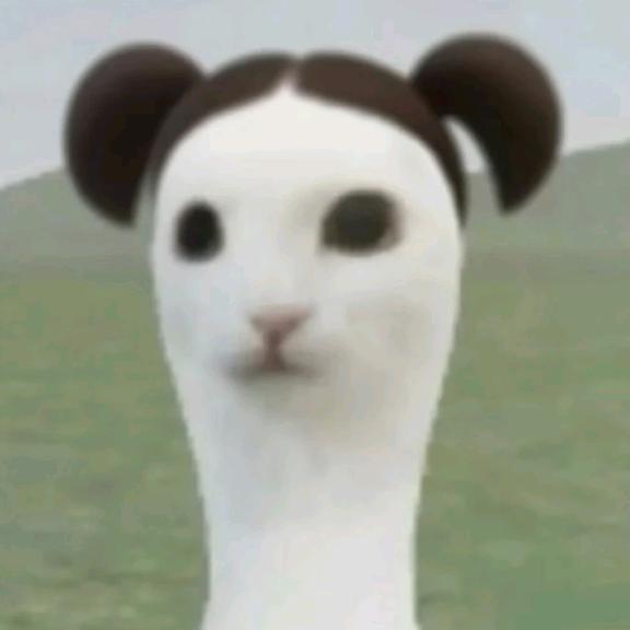 四點