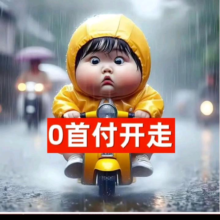 零首付卖电动车