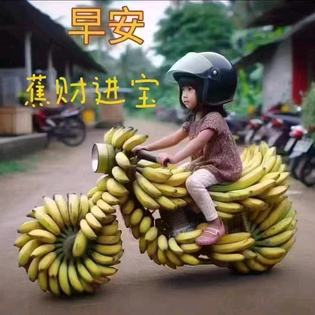 浪子的心情