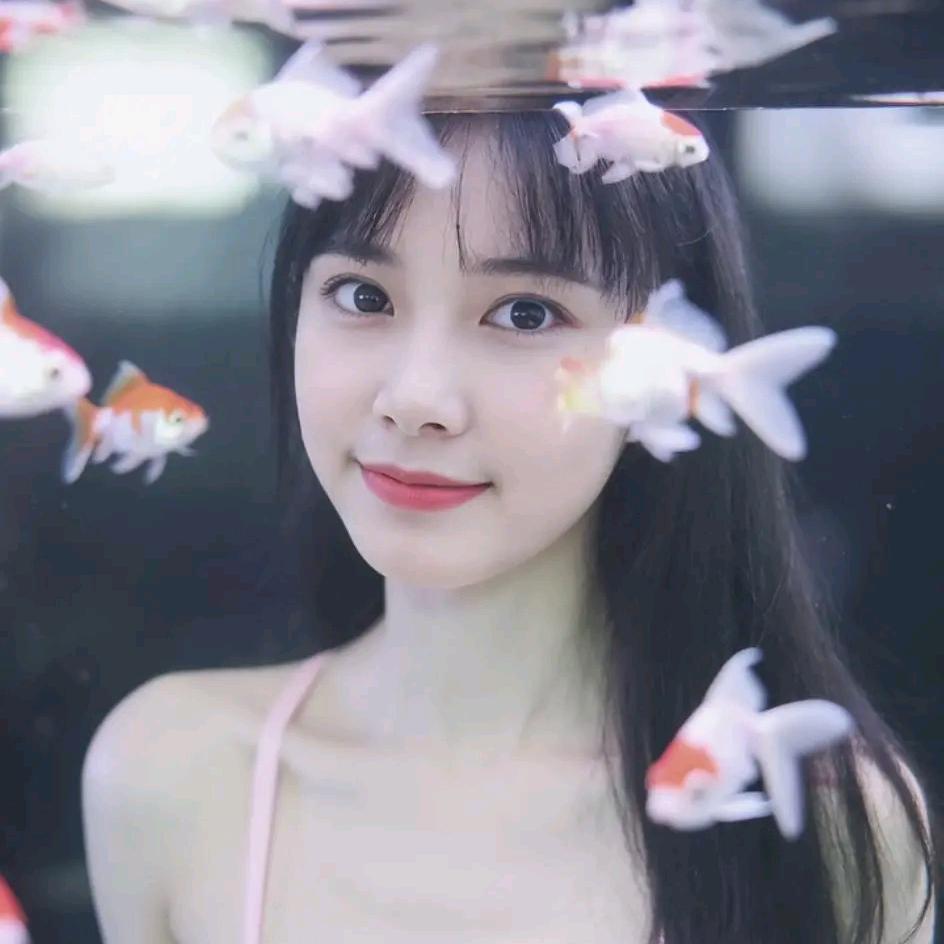 ༺昭昭᭨ᮩ如愿💕᭄