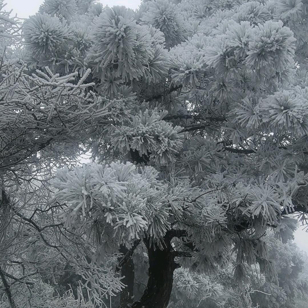 苏宁易购(新华南路店)