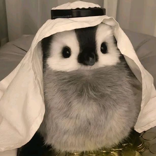 北织