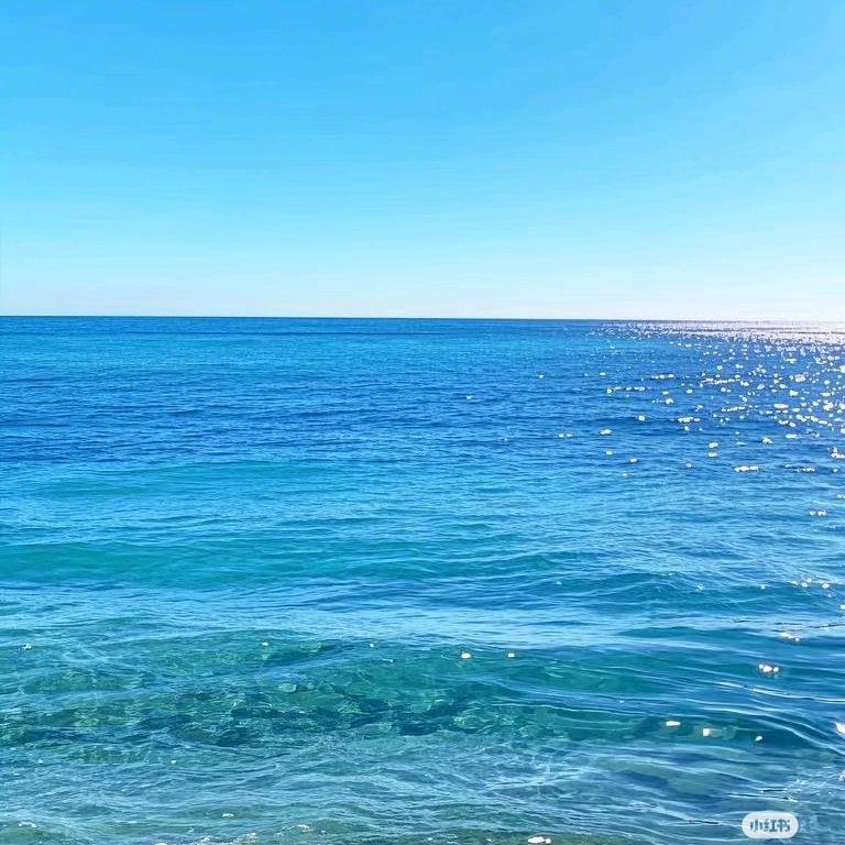 波涛先生🌊