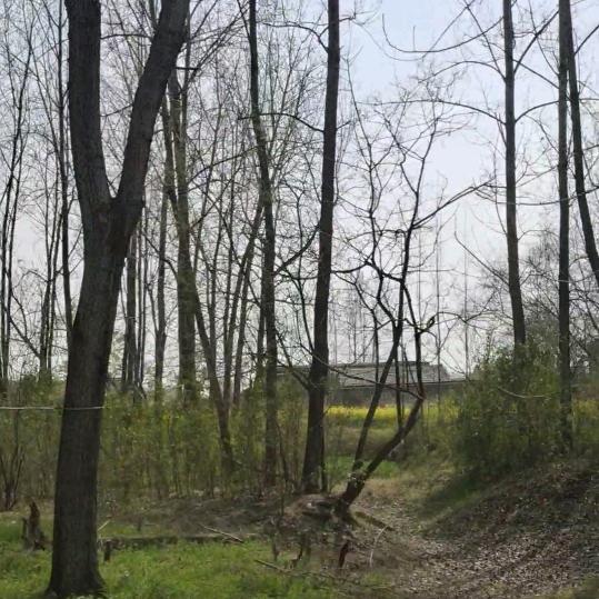 老人和儿子百货