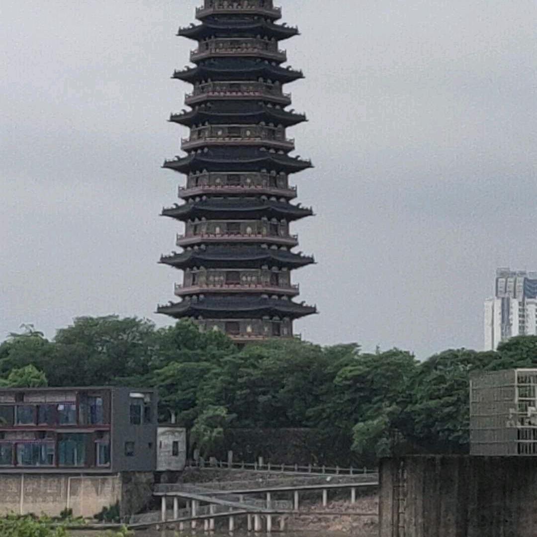 赵