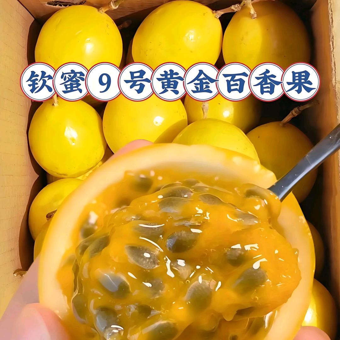 聚百香