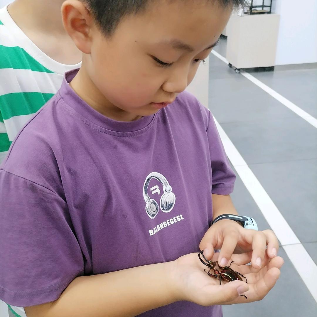 陈💞心如意
