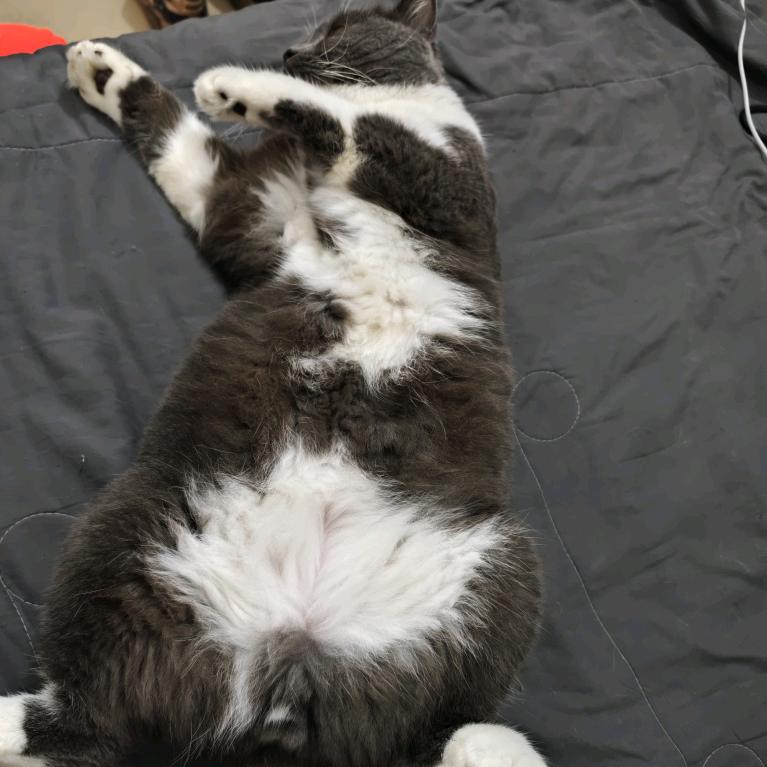 Zzzzzx头像