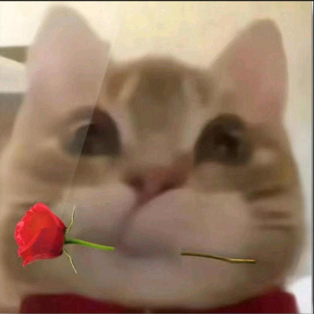 ₍‧ꀈ˙⁾
