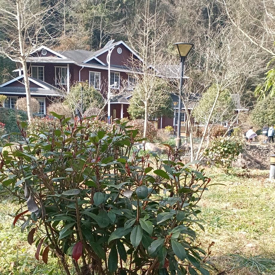 顺其自然