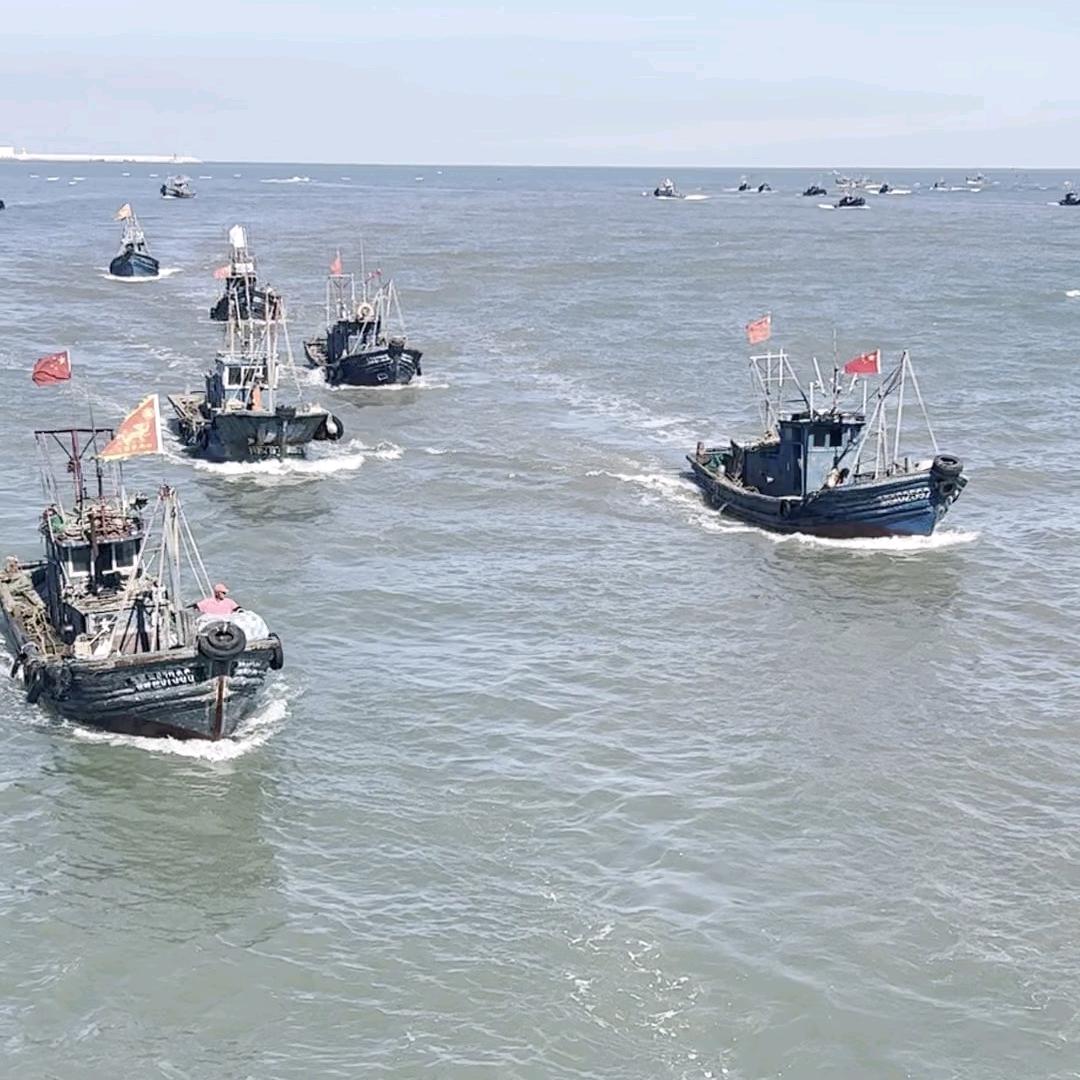 日照小船海鲜直发