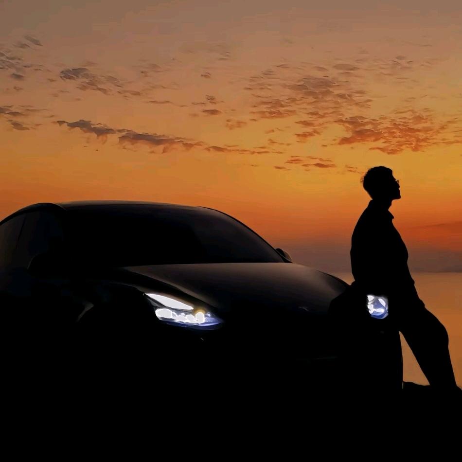 斑马小镇的牛仔