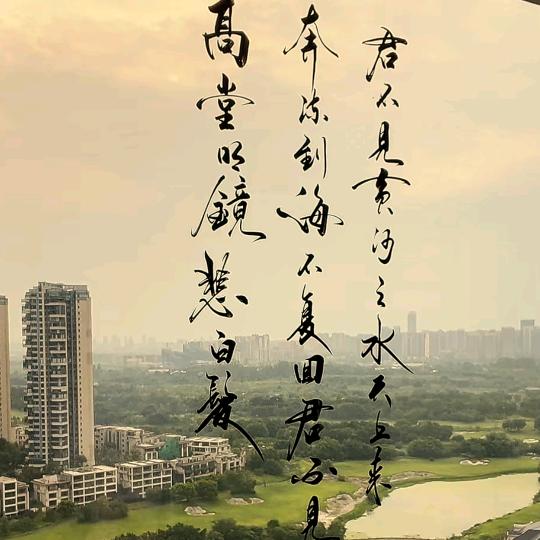 只若初见