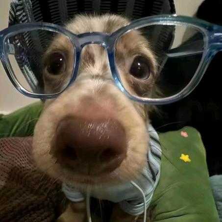 老阿爸无锡店 小王