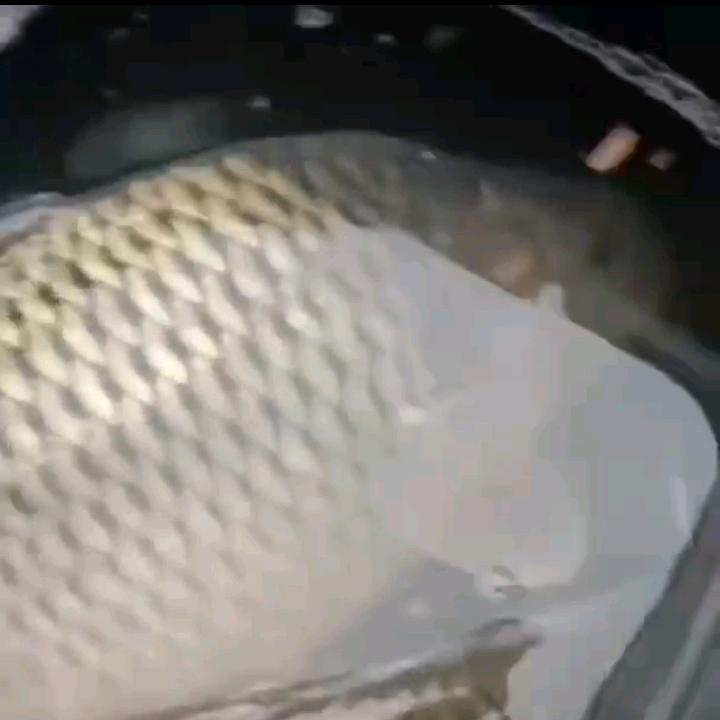 🥀⃟错把᭄敷衍ꦻ当承诺ꦿᭁM