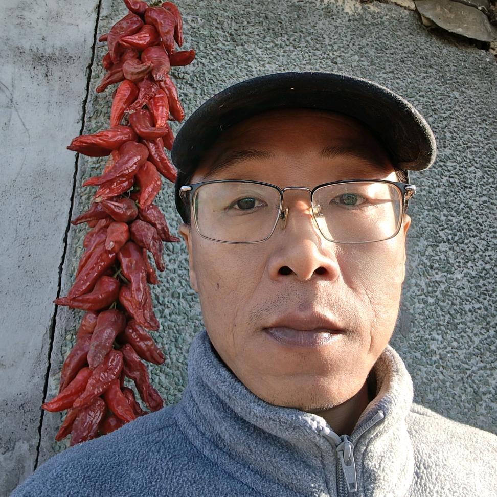 我在东北当农民