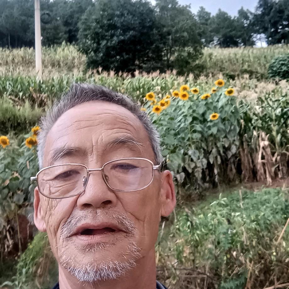 向阳李哥