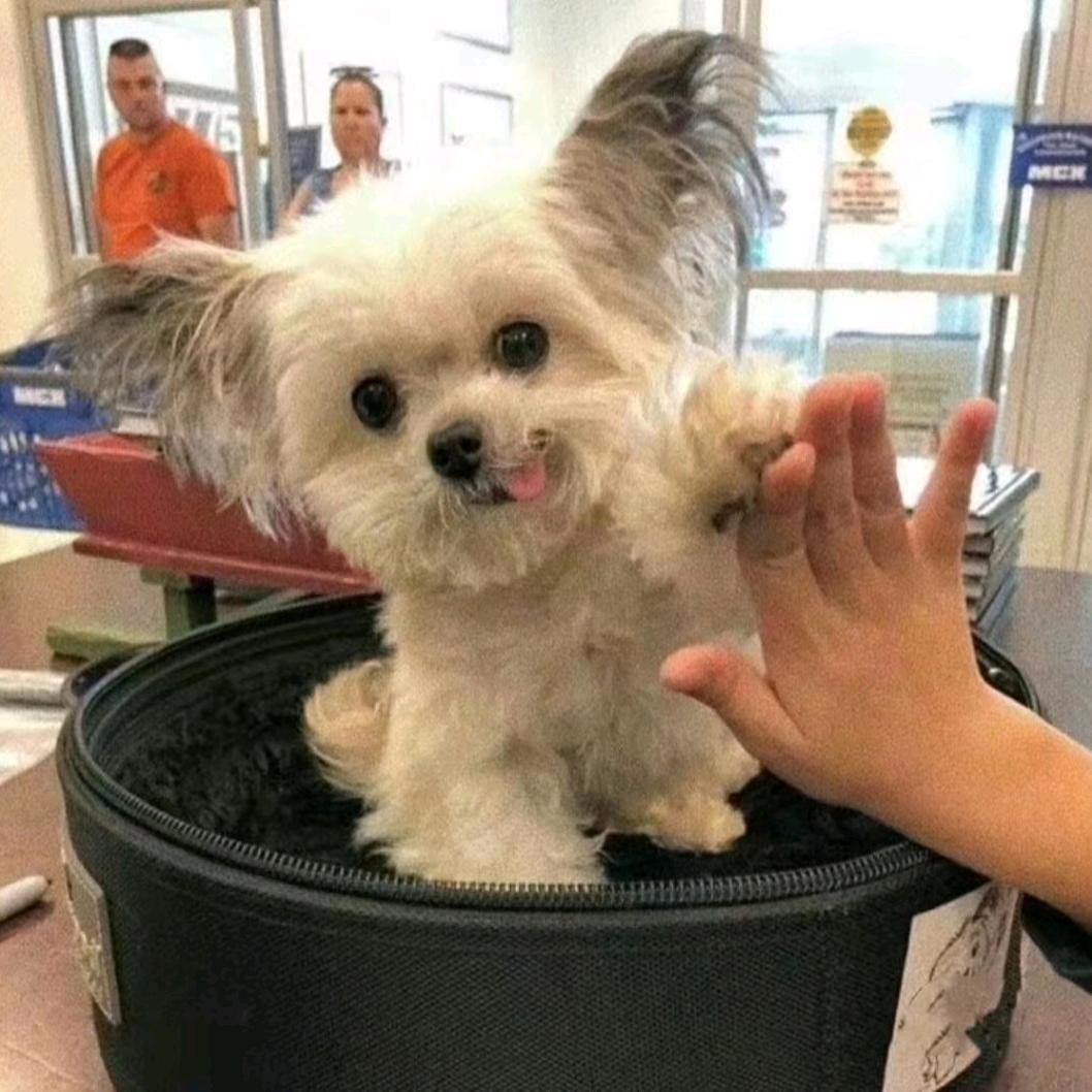 十一二