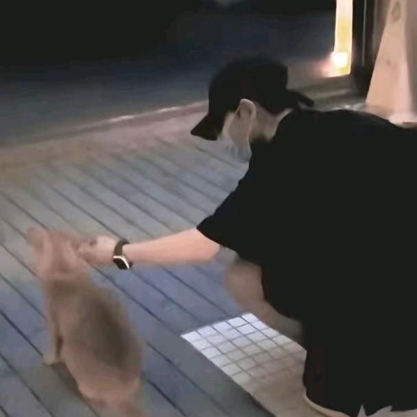 莎莎