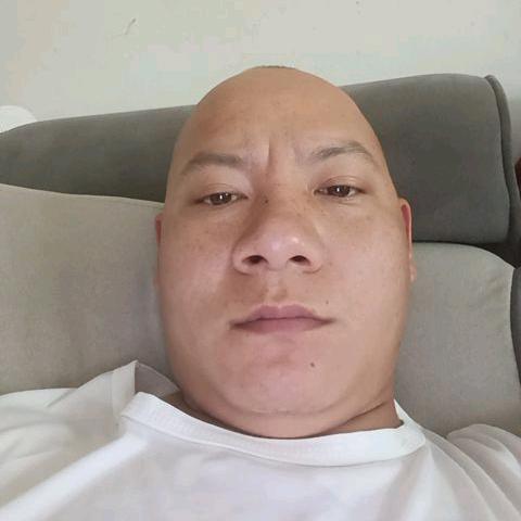 兔子小王