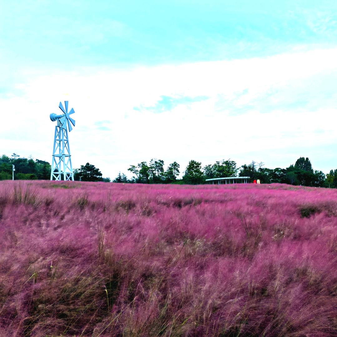 东平文心工作室