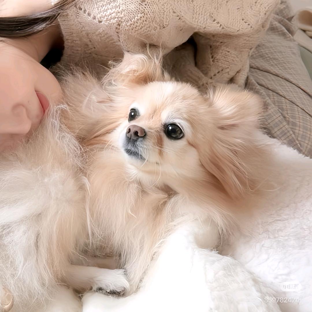 封尘
