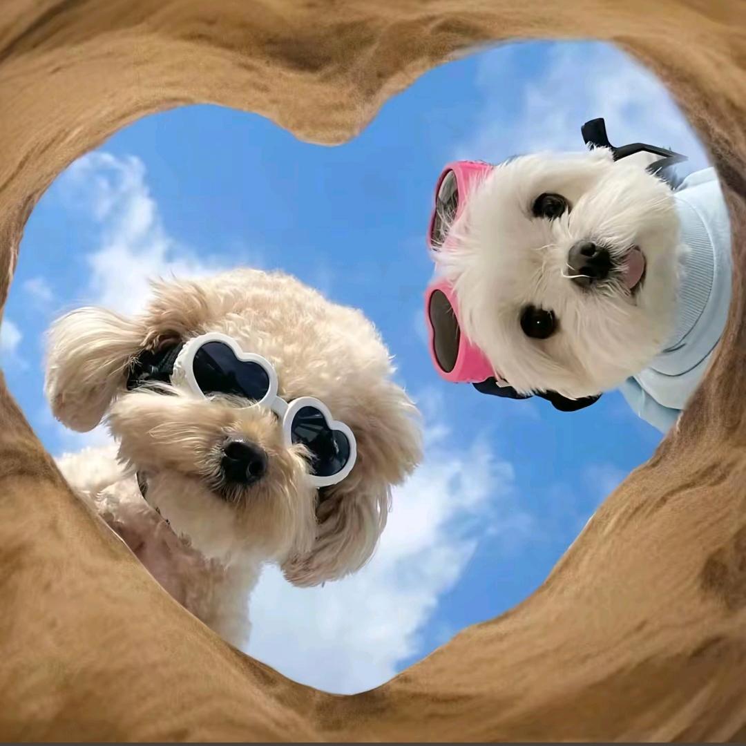 7秒໊記⃨憶᭄এ