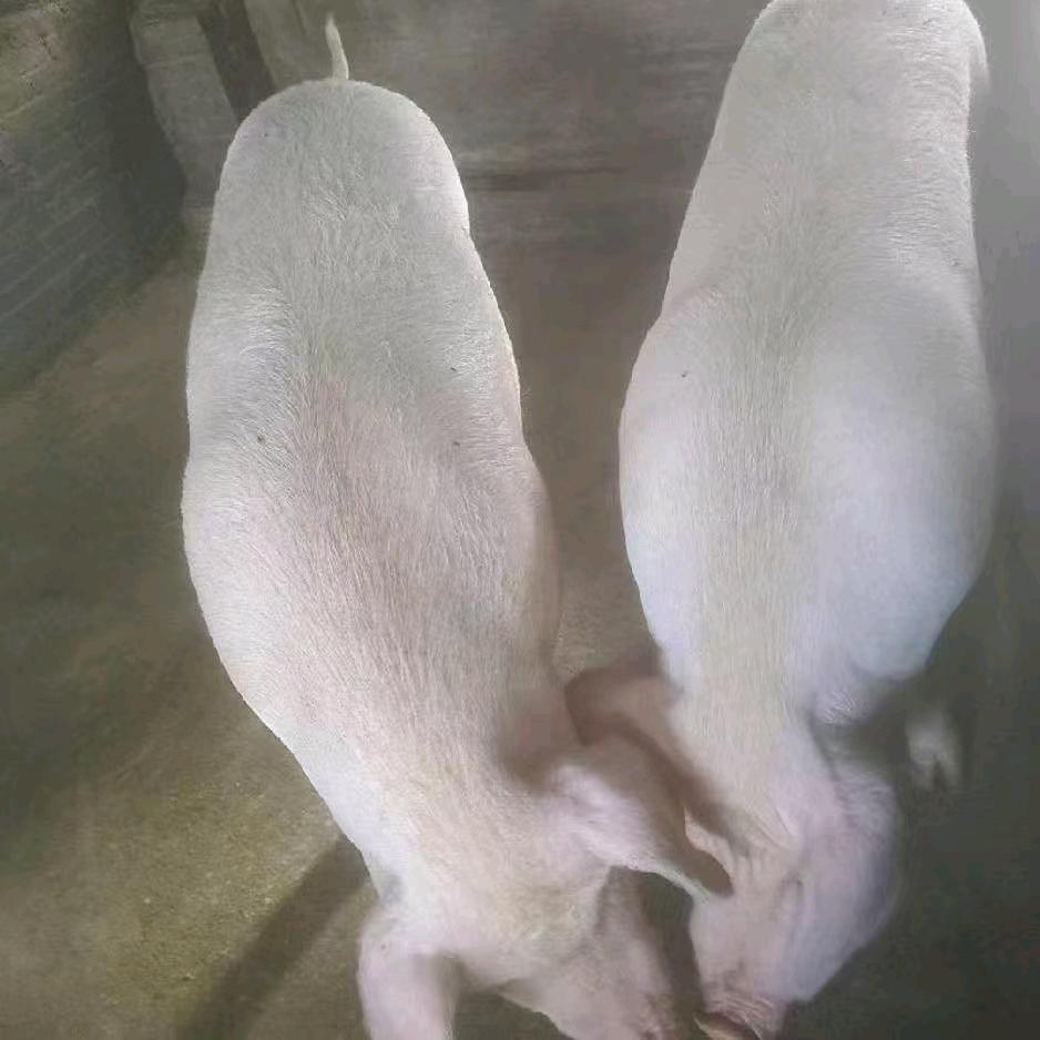 浏阳市集里陆应百货店