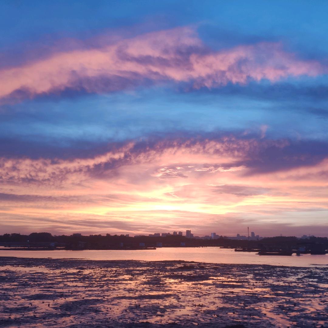 沣沣不是蜂！！！