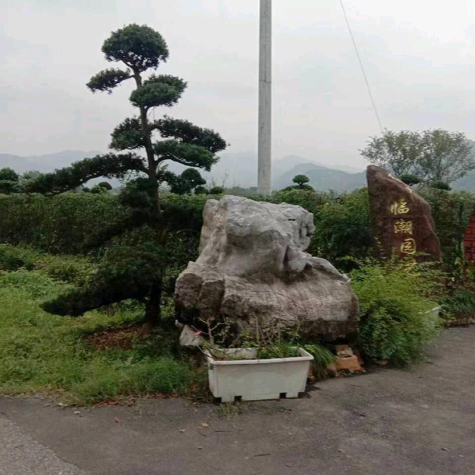 春暖花开