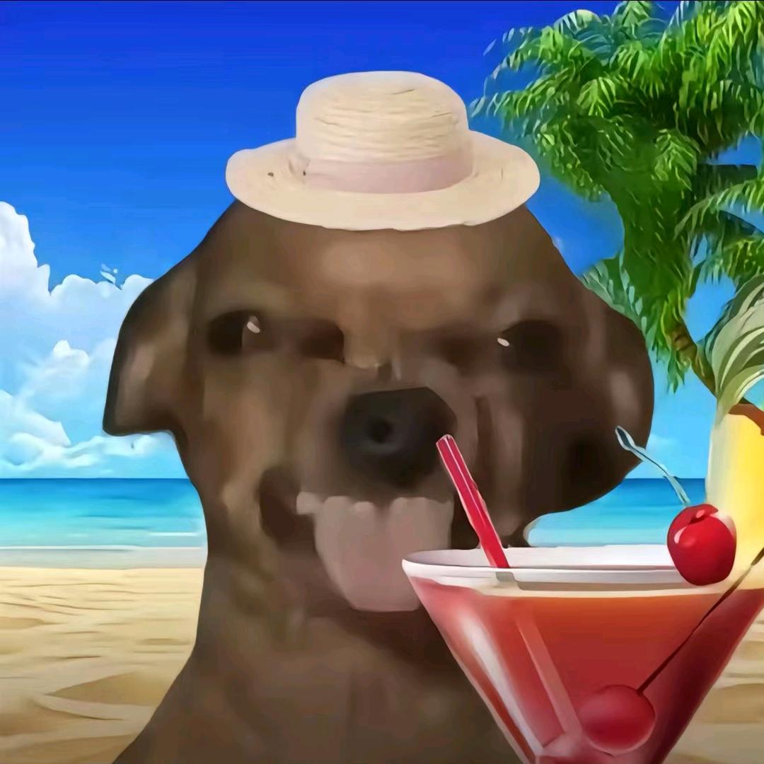 屋内不许荡秋千